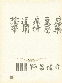 阴道痒豆腐渣白带用什么药