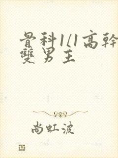 骨科1/1高干双男主