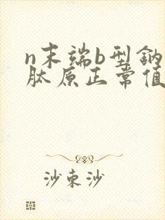 n末端b型钠尿肽原正常值