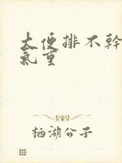 大便排不干净湿气重