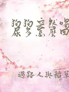 狗狗突然喝水多尿多怎么回事