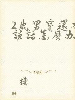 2岁男宝还不会说话怎么办