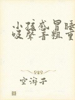 小孩感冒睡觉呼吸声音粗重呼哧呼哧的