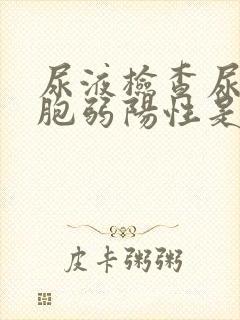 尿液检查尿白细胞弱阳性是什么意思