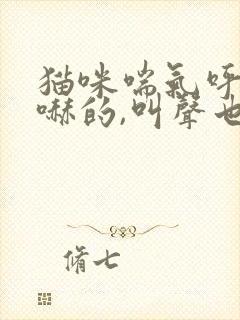 猫咪喘气呼哧呼哧的,叫声也沙哑