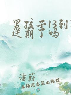 男孩子13到叛逆期了吗