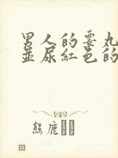 男人的睾丸疼痛并尿红色的尿