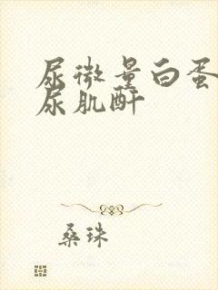 尿微量白蛋白 尿肌酐