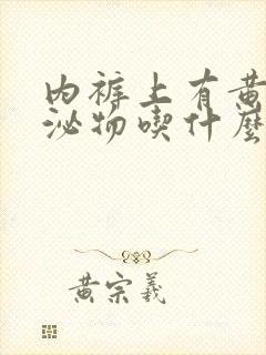 内裤上有黄色分泌物吃什么药