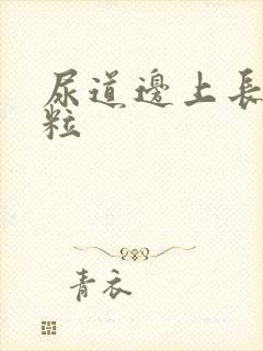 尿道边上长小肉粒