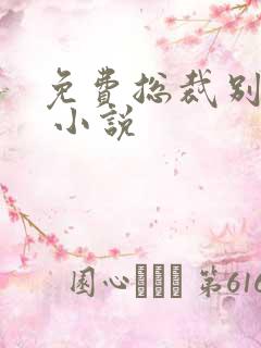 免费总裁别太坏 小说