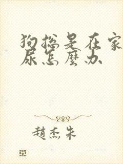 狗总是在家里乱尿怎么办