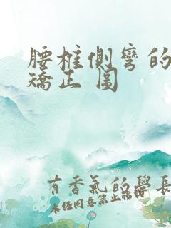 腰椎侧弯的自我矫正 图