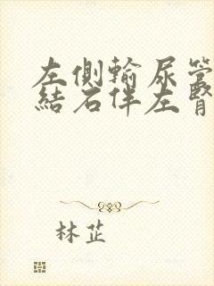 左侧输尿管上段结石伴左肾轻度积水怎么治疗