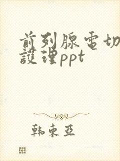 前列腺电切术的护理ppt