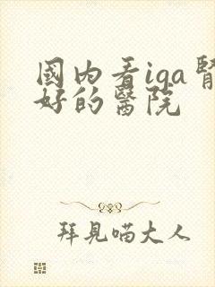 国内看iga肾好的医院