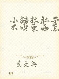 小猫拉肚子呕吐不吃东西怎么办