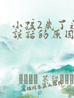 小孩2岁了还不说话的原因