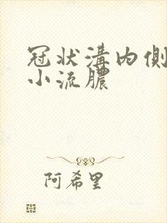 冠状沟内侧长了小流脓