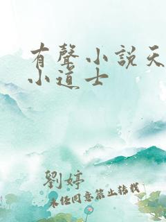 有声小说天师府小道士
