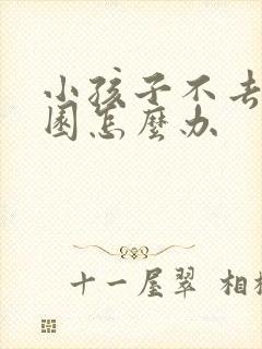 小孩子不去幼儿园怎么办