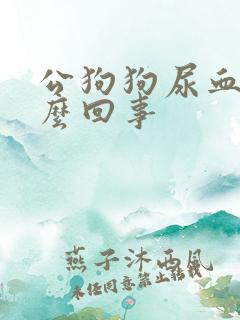 公狗狗尿血是怎么回事