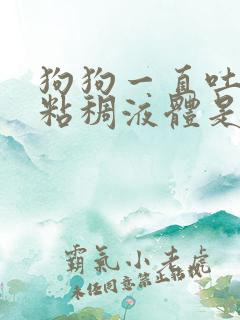 狗狗一直吐黄色粘稠液体是怎么回事