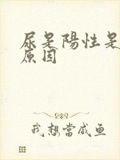 尿是阳性是什么原因