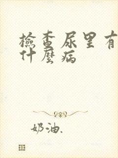 检查尿里有血是什么病