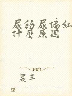 尿的尿偏红色是什么原因