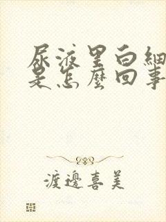 尿液里白细胞高是怎么回事