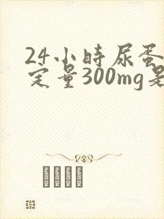 24小时尿蛋白定量300mg是多少克