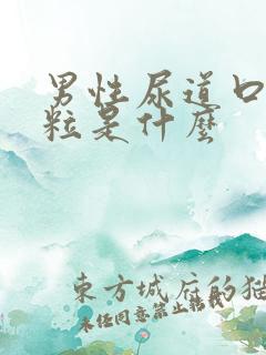 男性尿道口有肉粒是什么