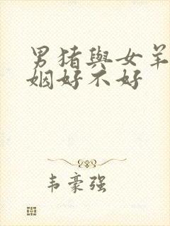 男猪与女羊配婚姻好不好