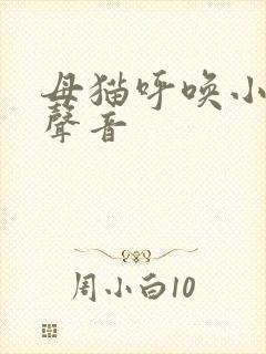 母猫呼唤小猫的声音