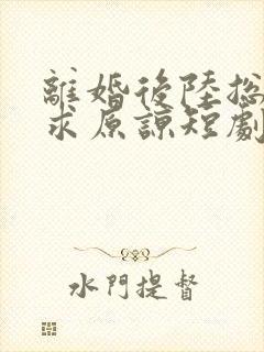 离婚后陆总跪着求原谅短剧