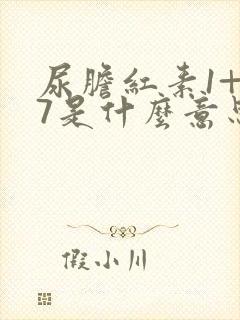 尿胆红素1+17是什么意思