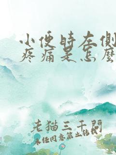 小便时左侧小腹疼痛是怎么回事