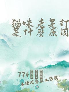 猫咪老是打喷嚏是什么原因