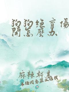 狗狗绝育伤口裂开怎么办