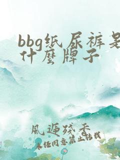 bbg纸尿裤是什么牌子