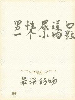 男性尿道口长了一个小肉粒