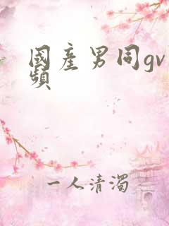 国产男同gv视频