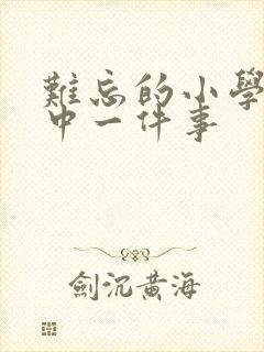 难忘的小学生活中一件事