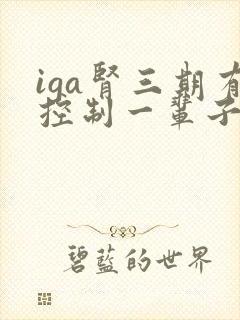 iga肾三期有控制一辈子吗