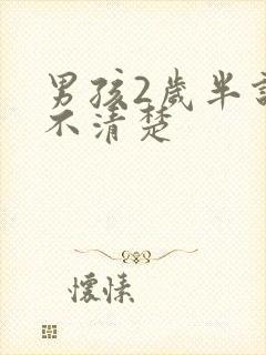 男孩2岁半说话不清楚