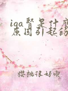 iga肾是什么原因引起的