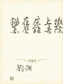 猫在床上撒尿,怎么能去除猫尿味