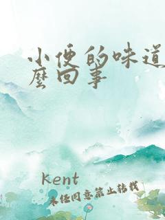 小便的味道大怎么回事