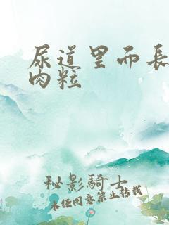 尿道里面长了小肉粒